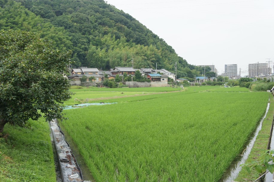 萩之庄、梶原あたり 